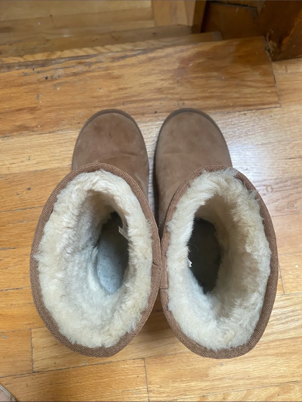UGG Classic Short Boots - Chestnut Suede